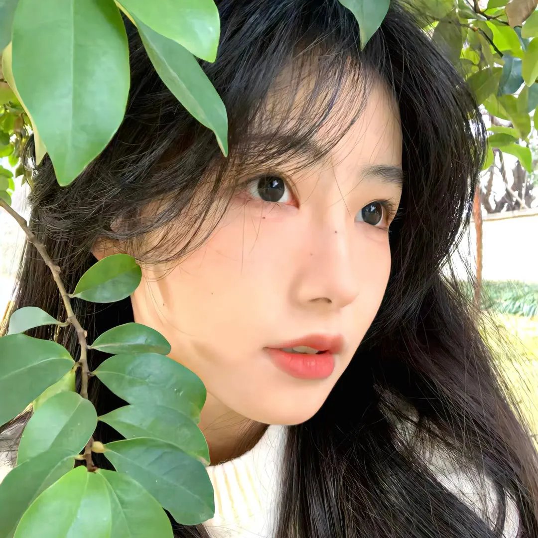精灵古比